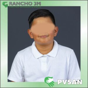 PVSAN