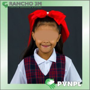 PVNPL